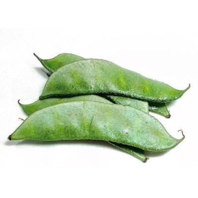 Broad Beans
