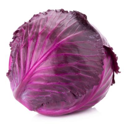 Violet Cabbage