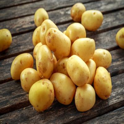 potato