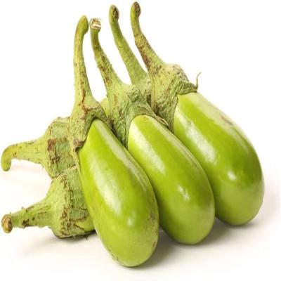 Green Bringal