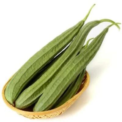 Ridge Gourd