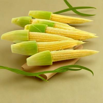 Baby Corn
