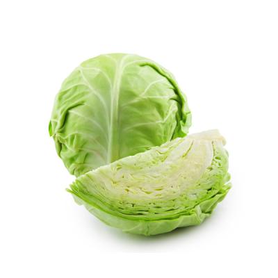 Green Cabbage