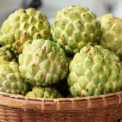Custard Apple