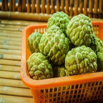 Custard Apple