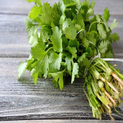Coriander