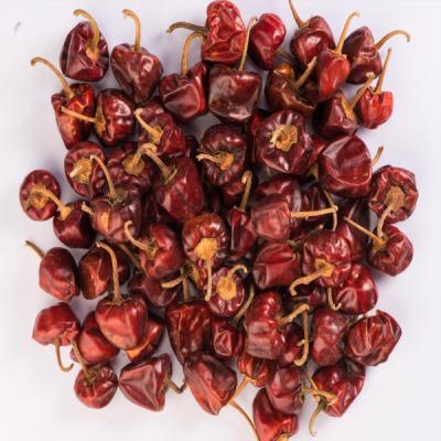 Round red chilli