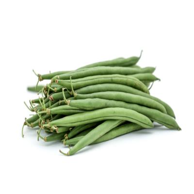 Ring Beans