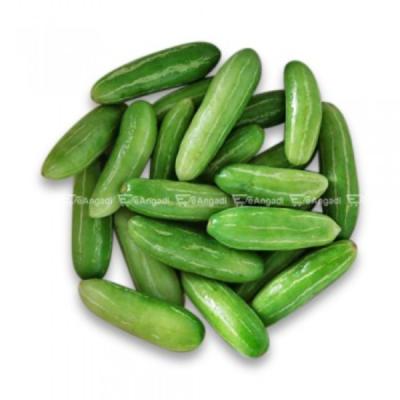 Ivy Gourd