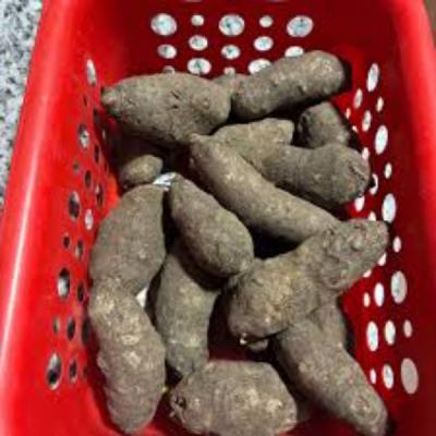Yam