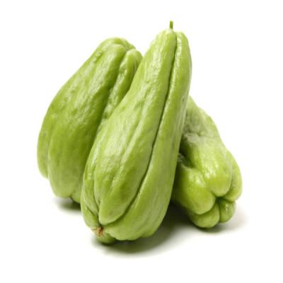 Chayote Squash