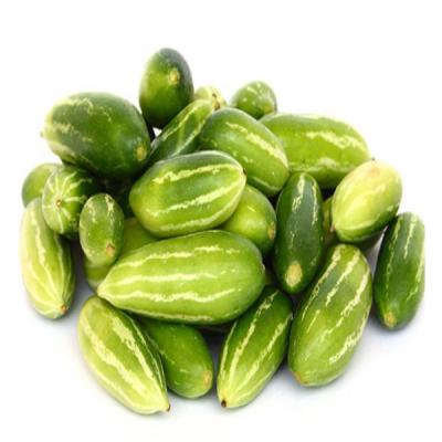 Ivy Gourd