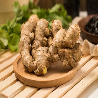 Ginger