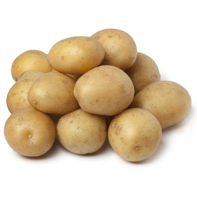 Agra Potato
