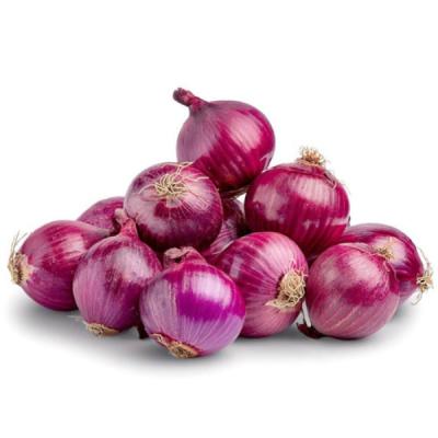 Big Onion