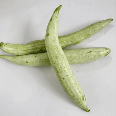 Snake Gourd