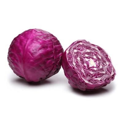 Violet Cabbage