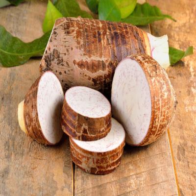 Taro Root