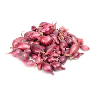 Small Onion