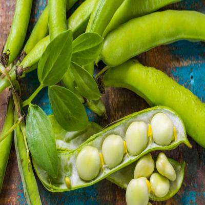 Butter Beans