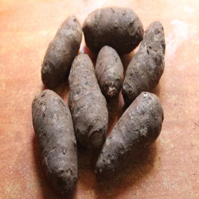 Yam