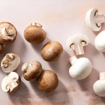 Button Mushroom